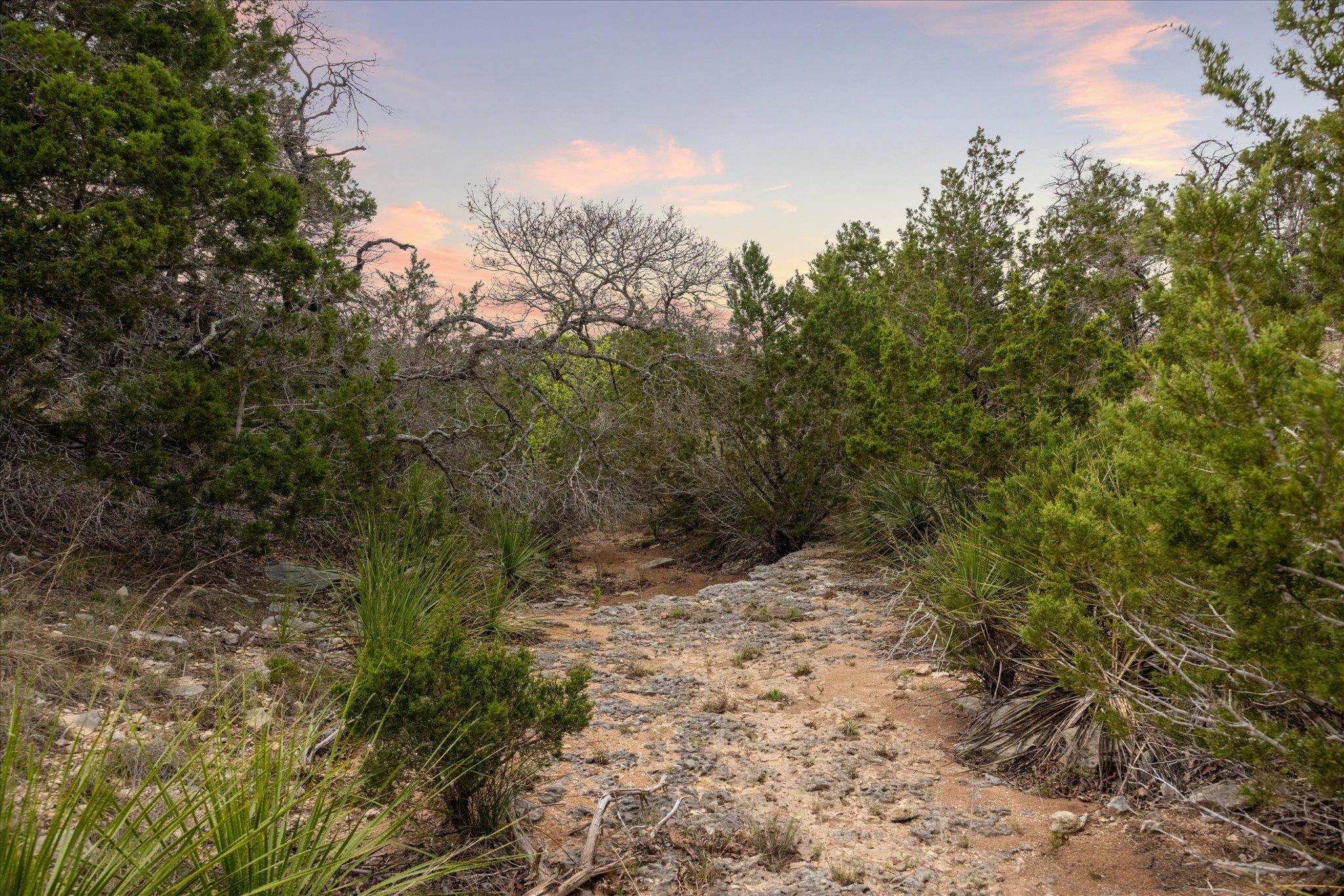 Lot 45 Falling Oak Drive Blanco TX 78606