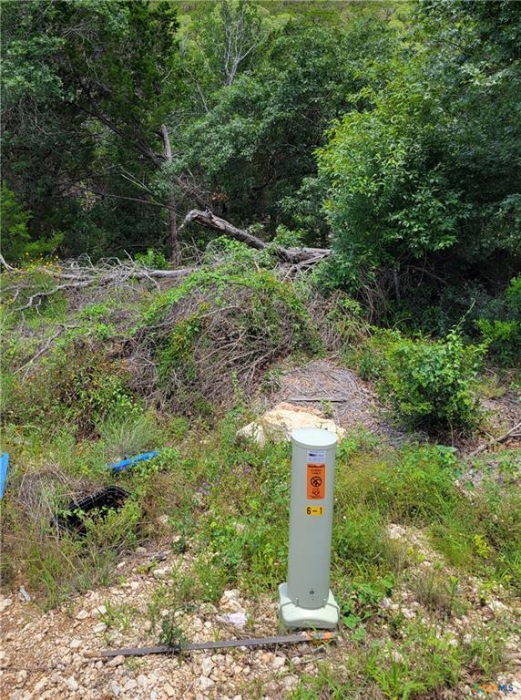 Lot 315 Private Road 1745 Road Mico TX 78056