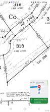 Lot 315 Private Road 1745 Road Mico TX 78056