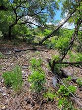 Lot 315 Private Road 1745 Road Mico TX 78056