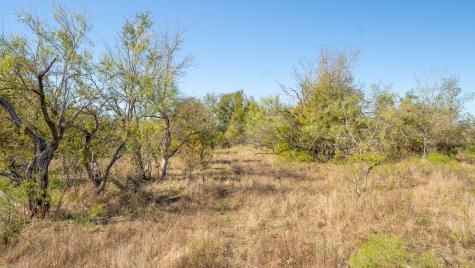 1558 Texas Street Rockdale TX 76567