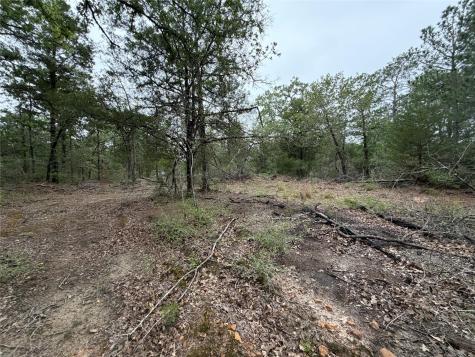 Lot 17 Old Antioch Road Smithville TX 78957