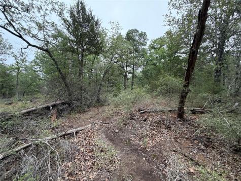 Lot 17 Old Antioch Road Smithville TX 78957