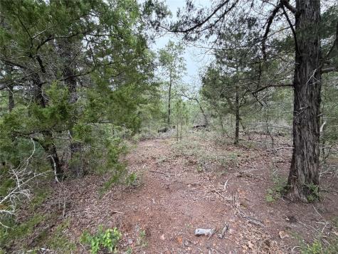Lot 17 Old Antioch Road Smithville TX 78957