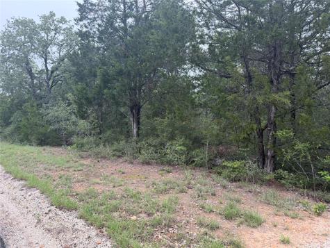 Lot 17 Old Antioch Road Smithville TX 78957
