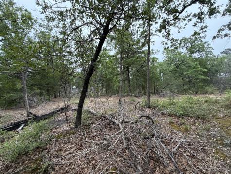 Lot 17 Old Antioch Road Smithville TX 78957