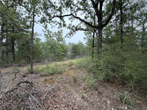 Lot 17 Old Antioch Road Smithville TX 78957