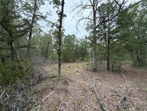 Lot 17 Old Antioch Road Smithville TX 78957