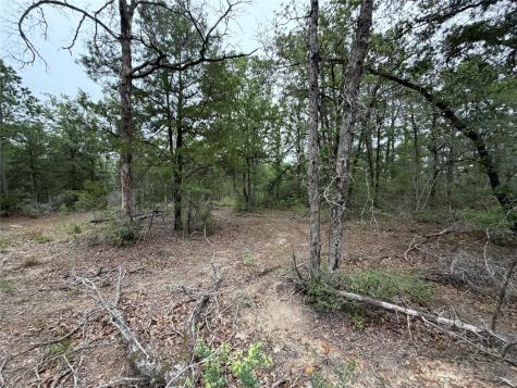 Lot 17 Old Antioch Road Smithville TX 78957