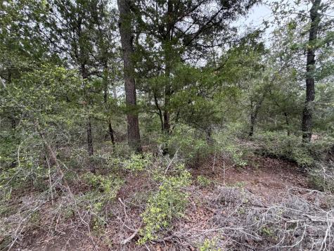 Lot 17 Old Antioch Road Smithville TX 78957
