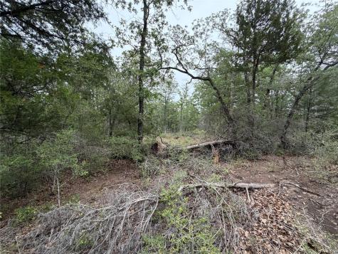 Lot 17 Old Antioch Road Smithville TX 78957