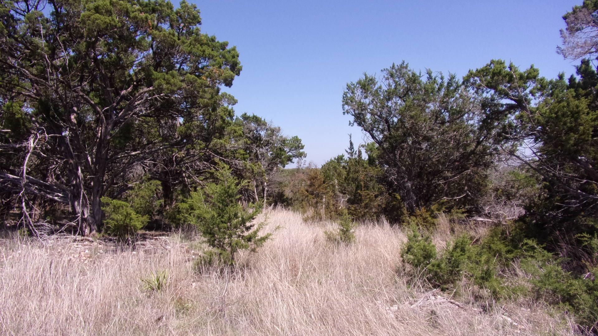 407 E Headwaters Ranch Road Kendalia TX 78027