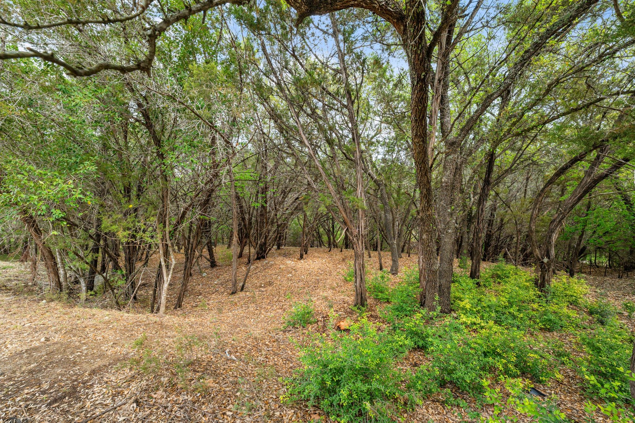 1707 Lipan Trail Austin TX 78733