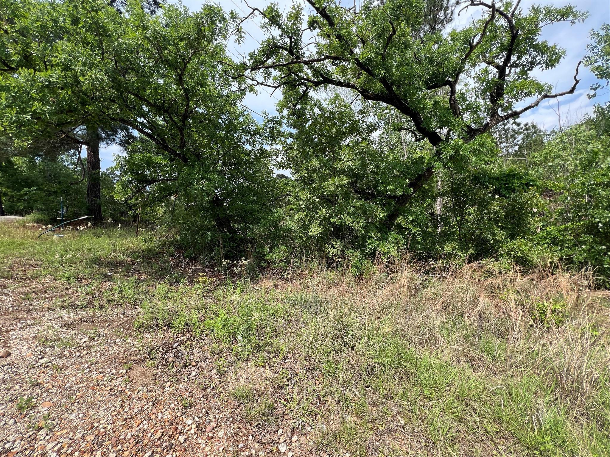 Lot 1672 Tbd Moku Court Bastrop TX 78602
