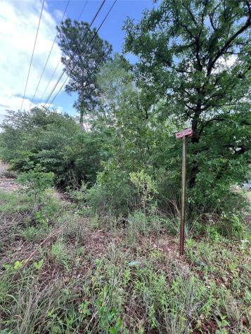 Lot 1672 Tbd Moku Court Bastrop TX 78602