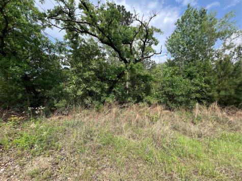 Lot 1672 Tbd Moku Court Bastrop TX 78602