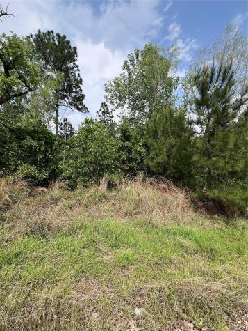 Lot 1672 Tbd Moku Court Bastrop TX 78602