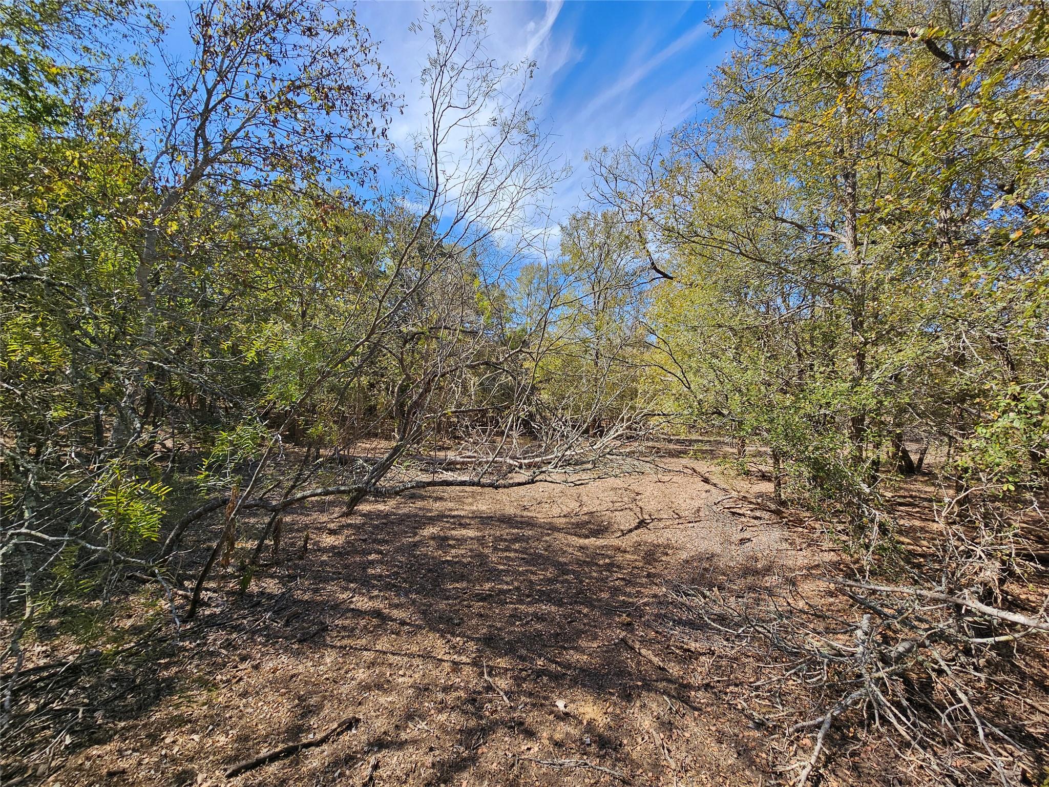 2364 Westwood Road Lockhart TX 78644
