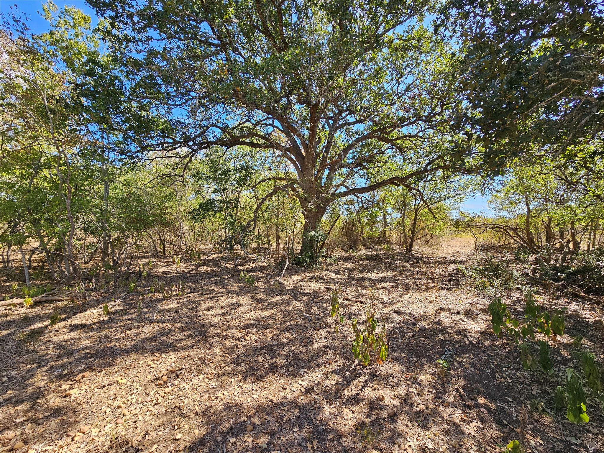 2364 Westwood Road Lockhart TX 78644