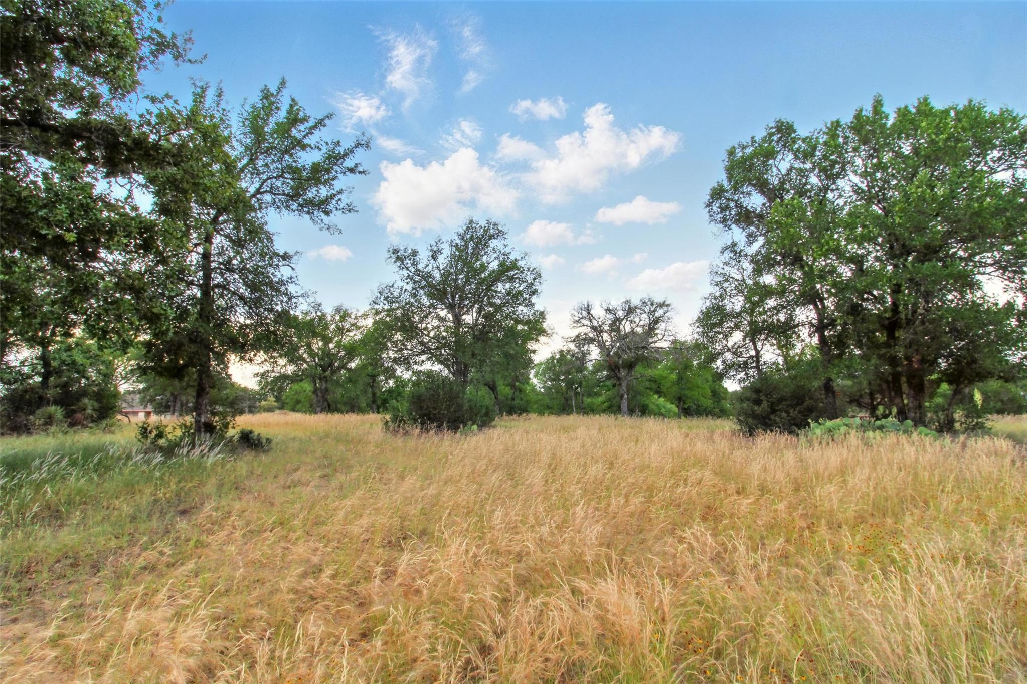 Lot 205 Skyline Drive Kingsland TX 78639