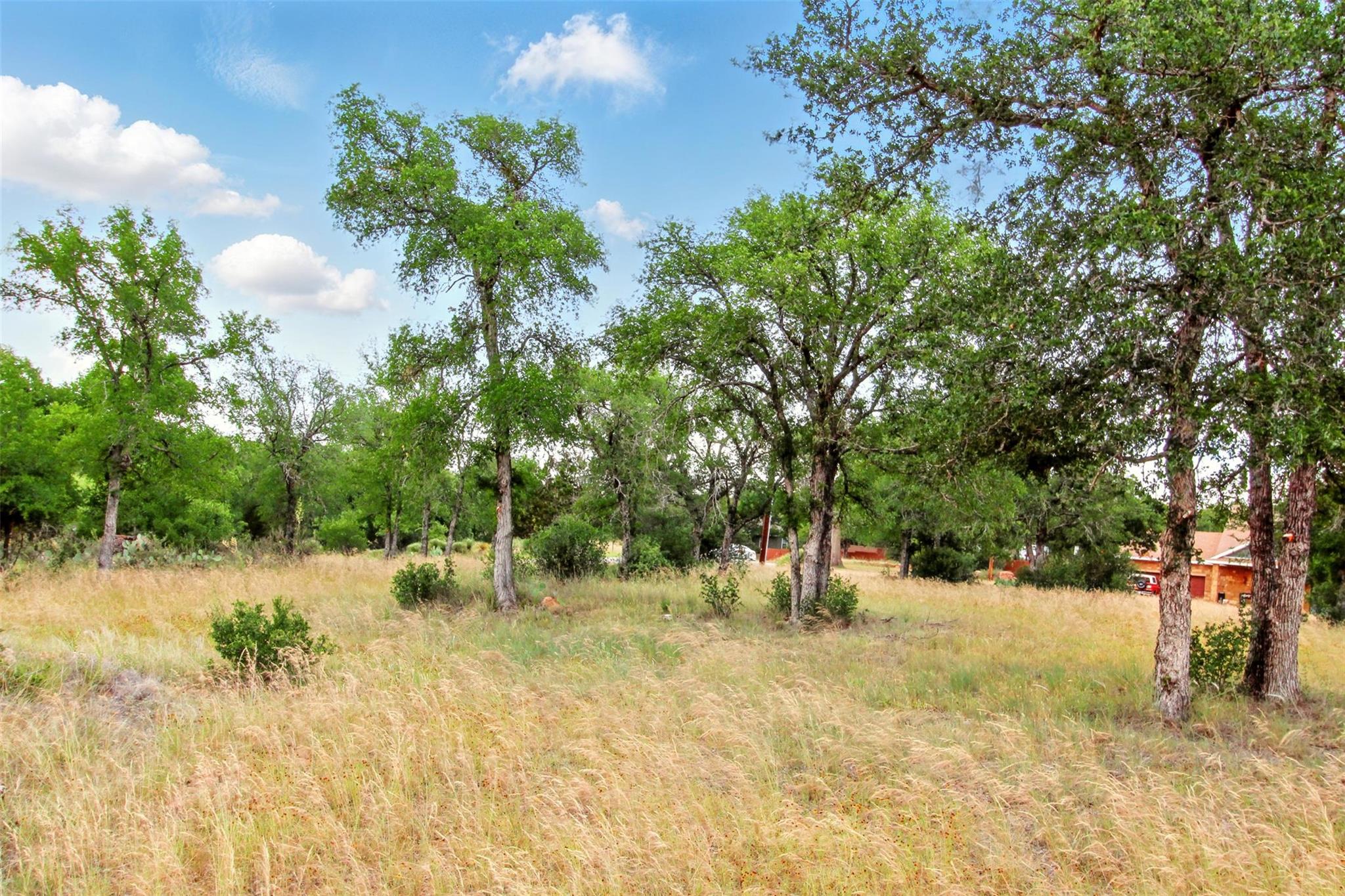 Lot 205 Skyline Drive Kingsland TX 78639