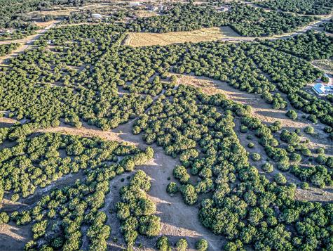 Lot 49 Long View Drive Lampasas TX 76550