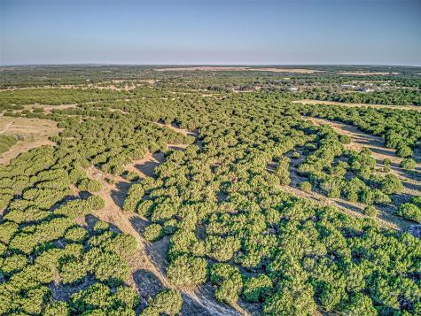 Lot 49 Long View Drive Lampasas TX 76550