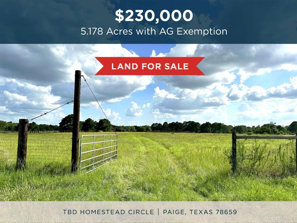 Tbd Homestead Circle Paige TX 78659