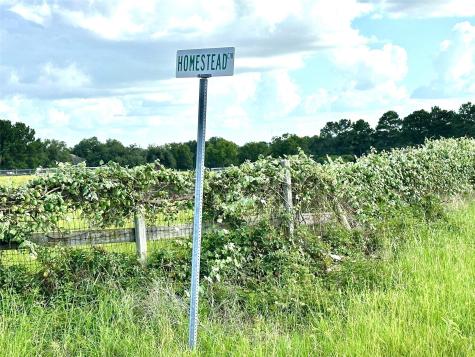 Tbd Homestead Circle Paige TX 78659