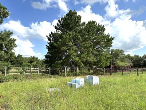 Tbd Homestead Circle Paige TX 78659