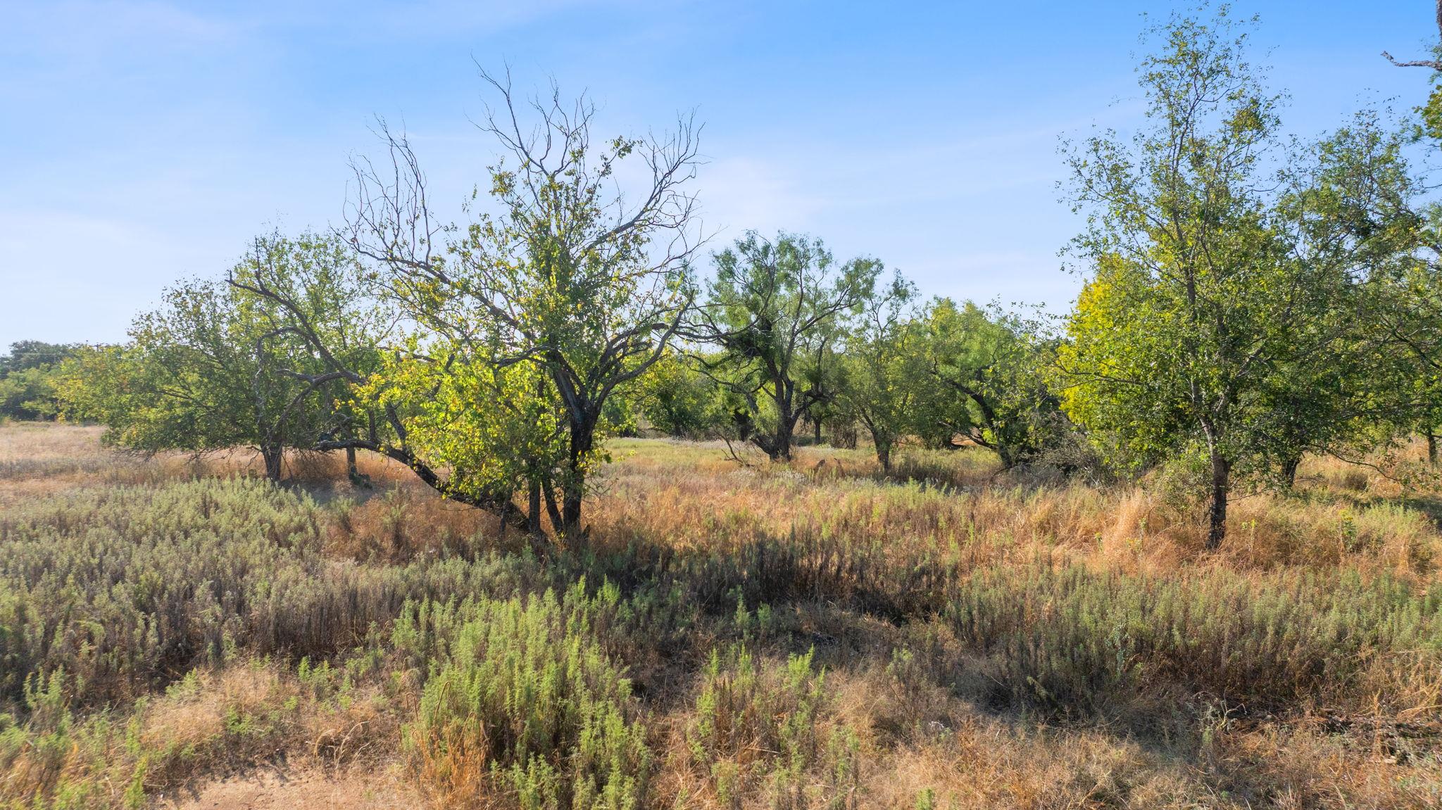 Tbd Village Lane Llano TX 78643