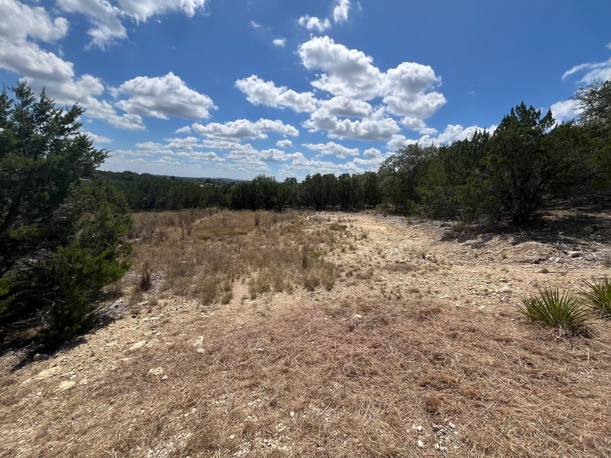 20705 Hayes Cove Lago Vista TX 78645