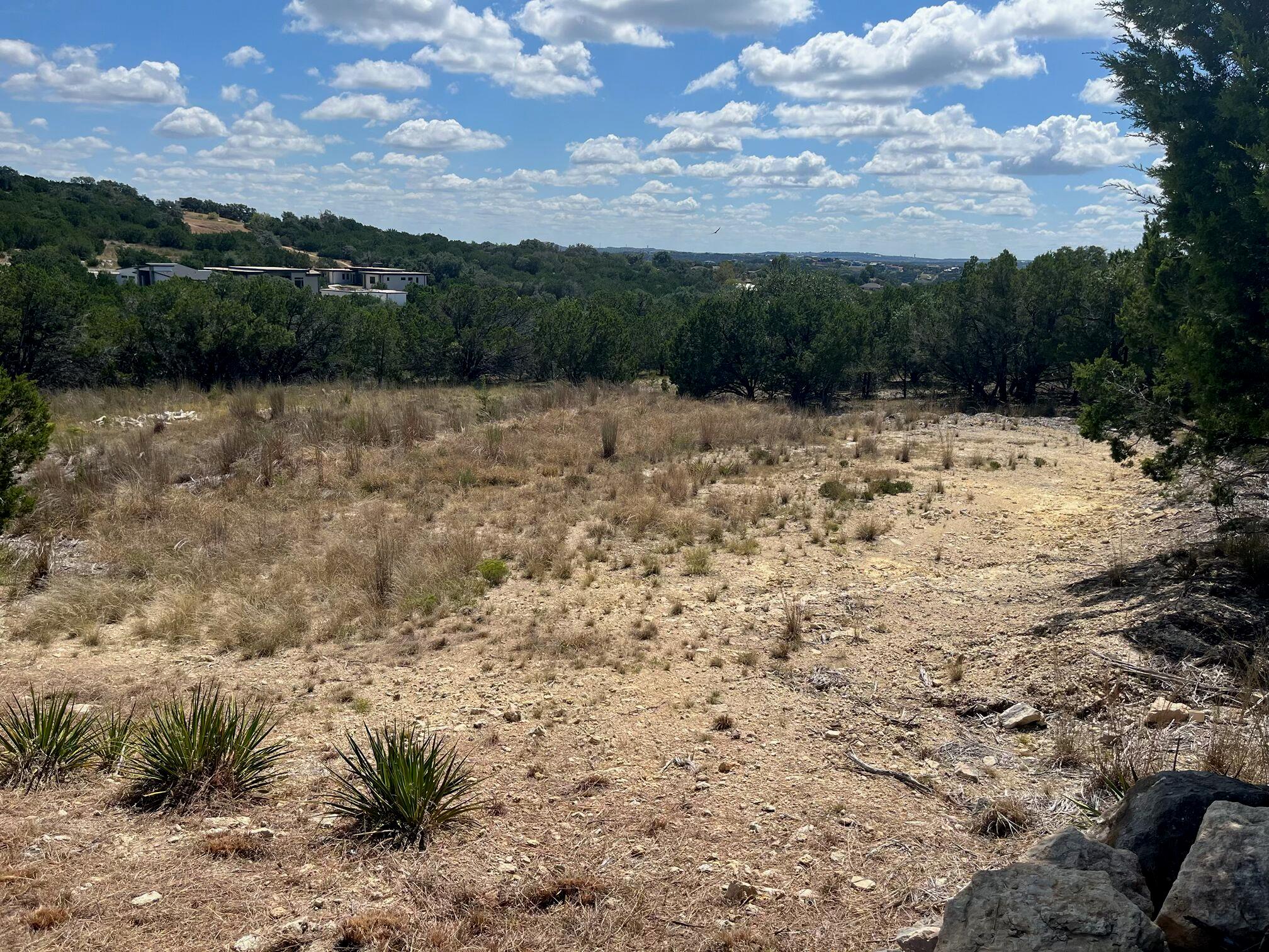 20705 Hayes Cove Lago Vista TX 78645