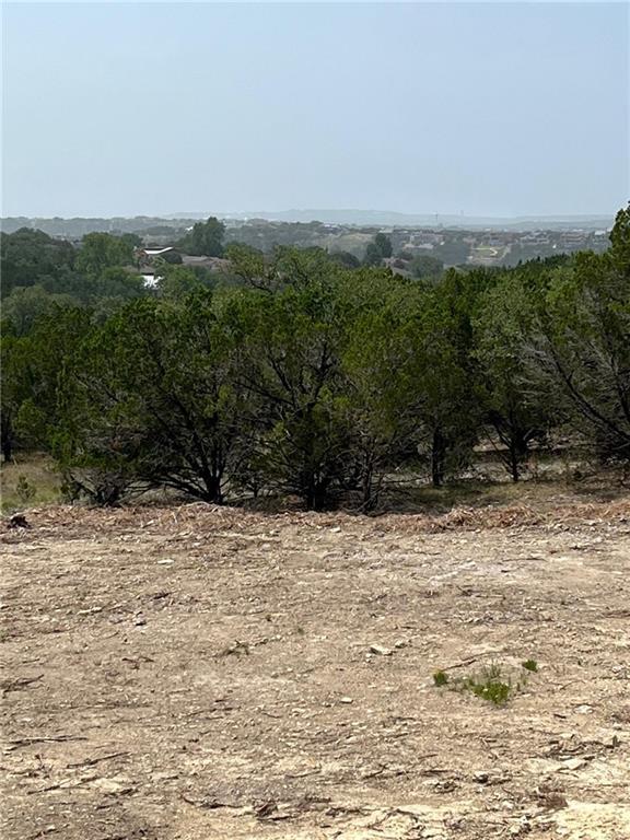 20705 Hayes Cove Lago Vista TX 78645