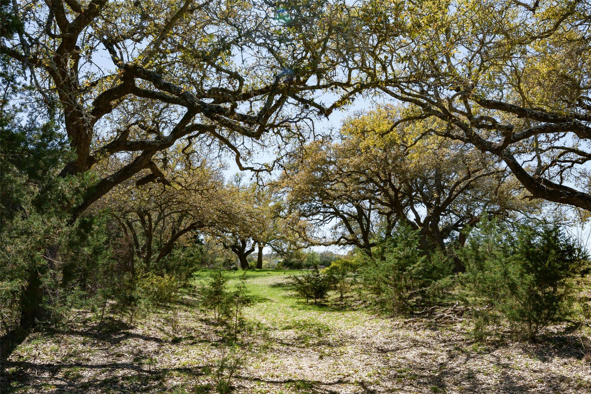 1440 Stone Ridge Mountain Drive Round Mountain TX 78663