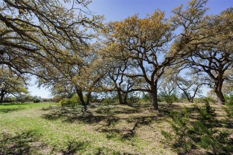 1440 Stone Ridge Mountain Drive Round Mountain TX 78663