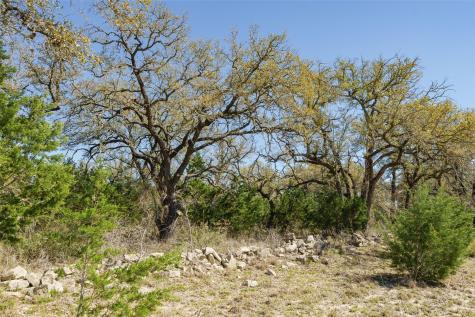 1440 Stone Ridge Mountain Drive Round Mountain TX 78663