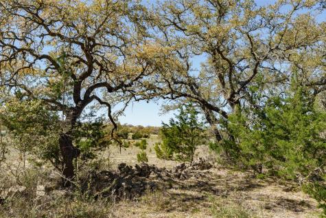 1440 Stone Ridge Mountain Drive Round Mountain TX 78663