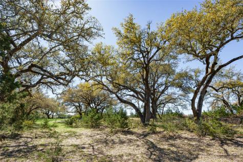 1440 Stone Ridge Mountain Drive Round Mountain TX 78663