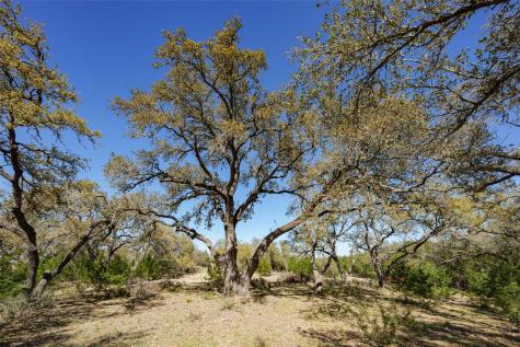 1440 Stone Ridge Mountain Drive Round Mountain TX 78663