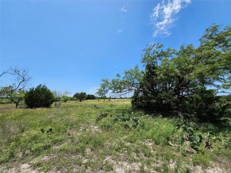 Lot 111 Shin Oak Drive Lampasas TX 76550