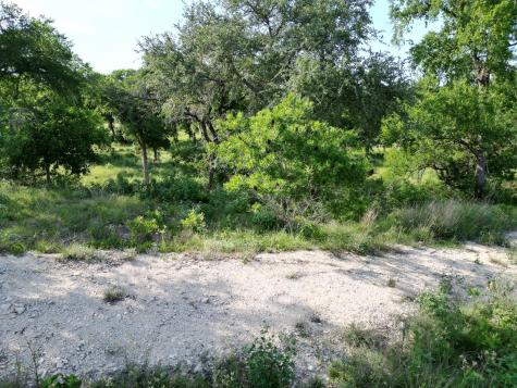 216 Serenity Drive Liberty Hill TX 78642