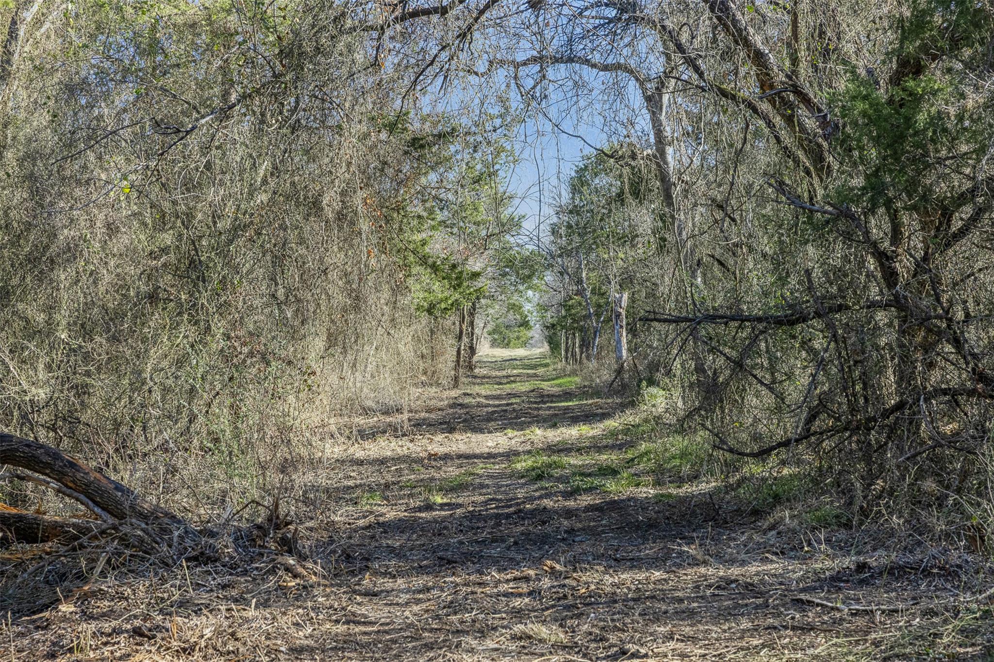 Tract 3 County Road 386 Groesbeck TX 76642