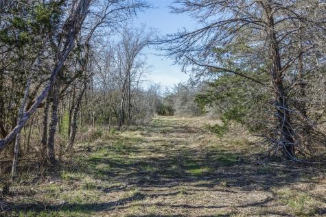 Tract 3 County Road 386 Groesbeck TX 76642