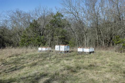 Tract 3 County Road 386 Groesbeck TX 76642