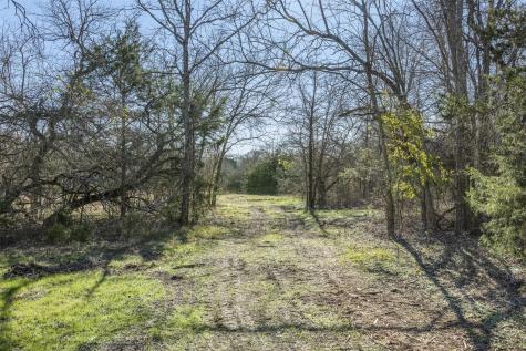 Tract 3 County Road 386 Groesbeck TX 76642