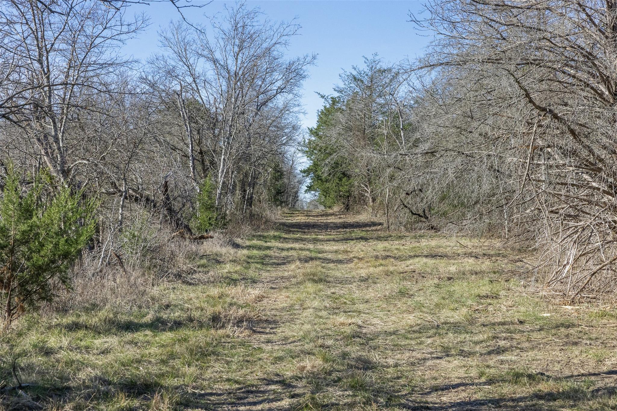 Tract 3 County Road 386 Groesbeck TX 76642