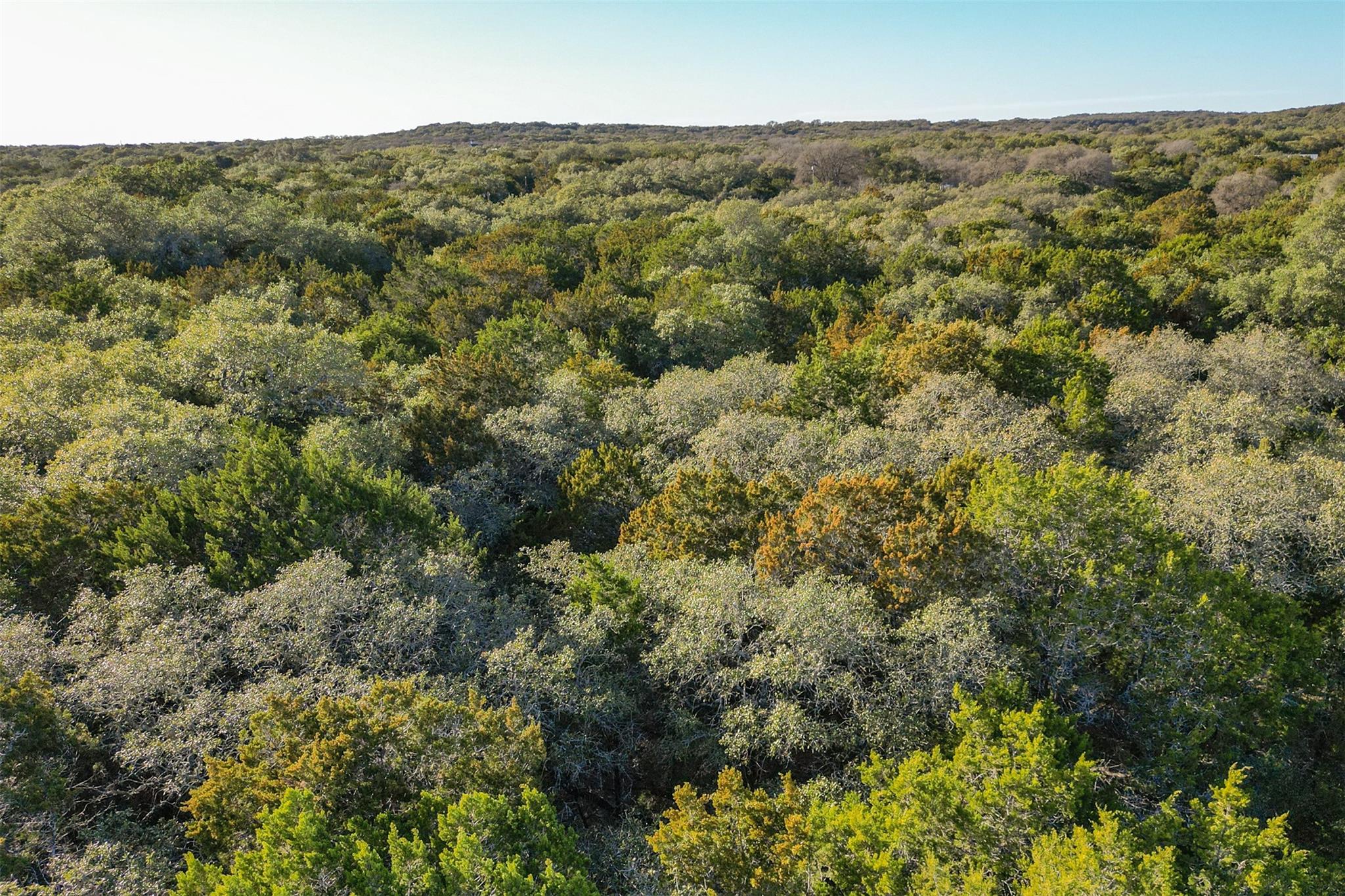 Lot 59 Ridge Oak Drive Wimberley TX 78676