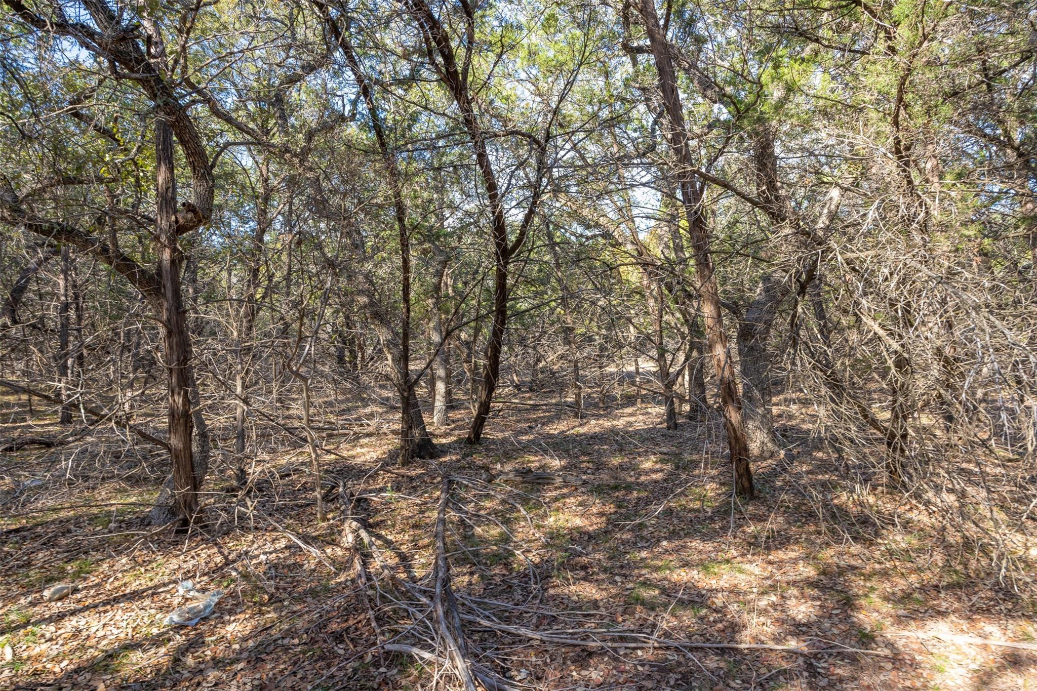 Lot 59 Ridge Oak Drive Wimberley TX 78676