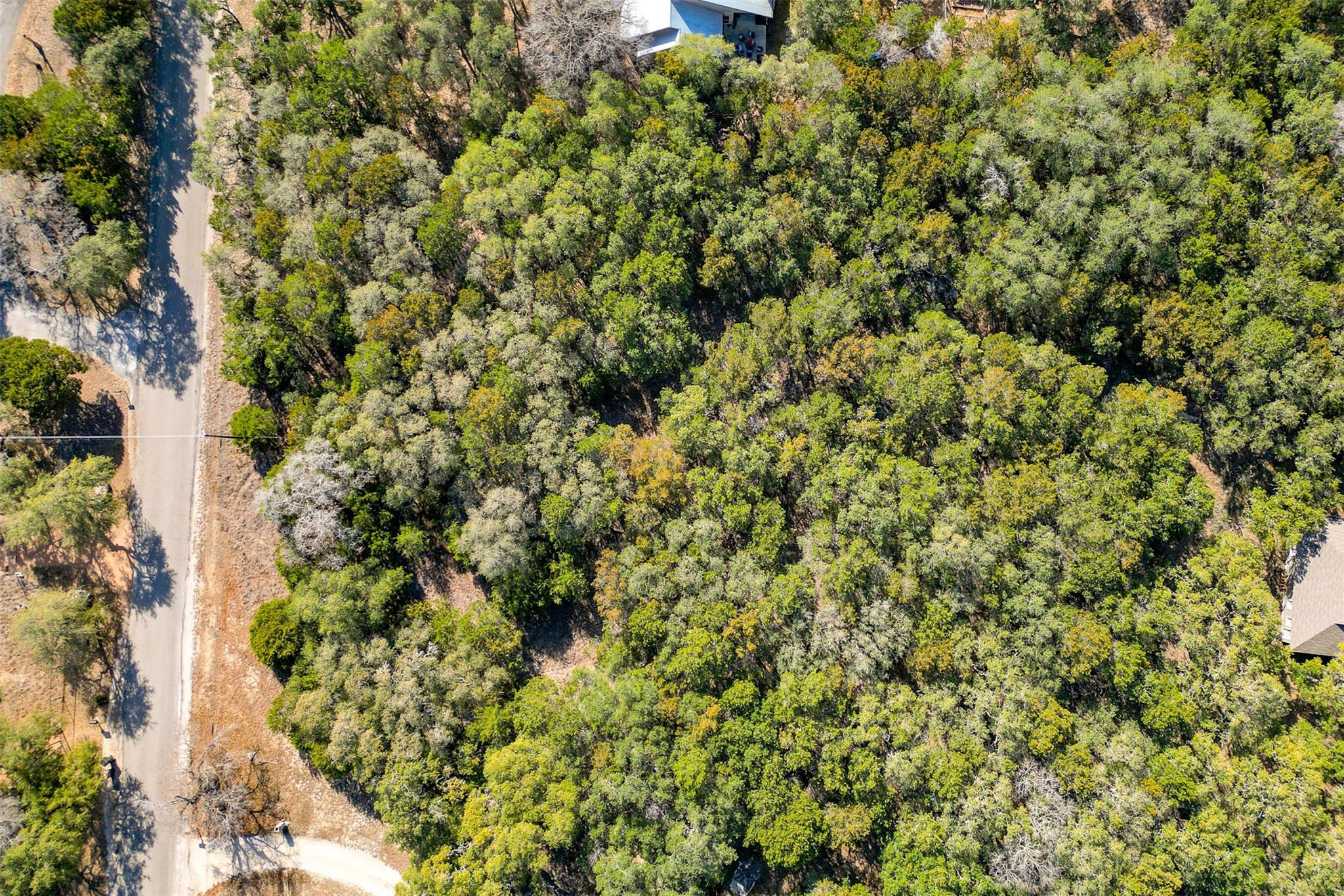 Lot 59 Ridge Oak Drive Wimberley TX 78676